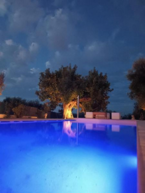 Il Vecchio Carrubo - Villa con piscina a sfioro